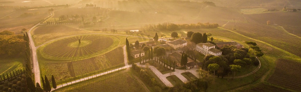 Avignonesi winery in Tuscany