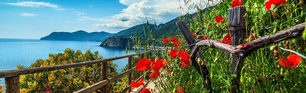 Cinque Terre trails