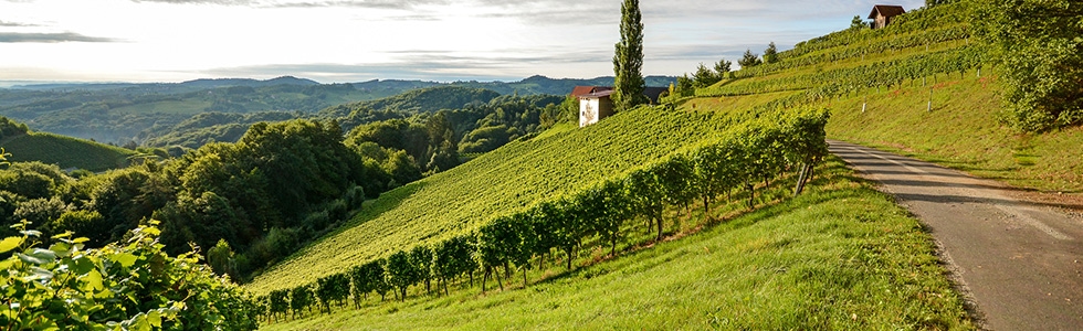 Popular Things to do in Tuscany