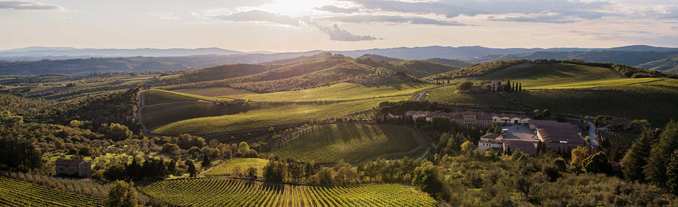 Ricasoli vineyard in Tuscany
